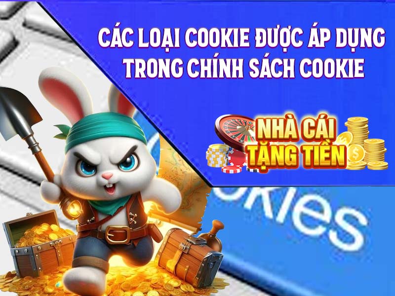 Các loại Cookie được áp dụng trong Chính Sách Cookie
